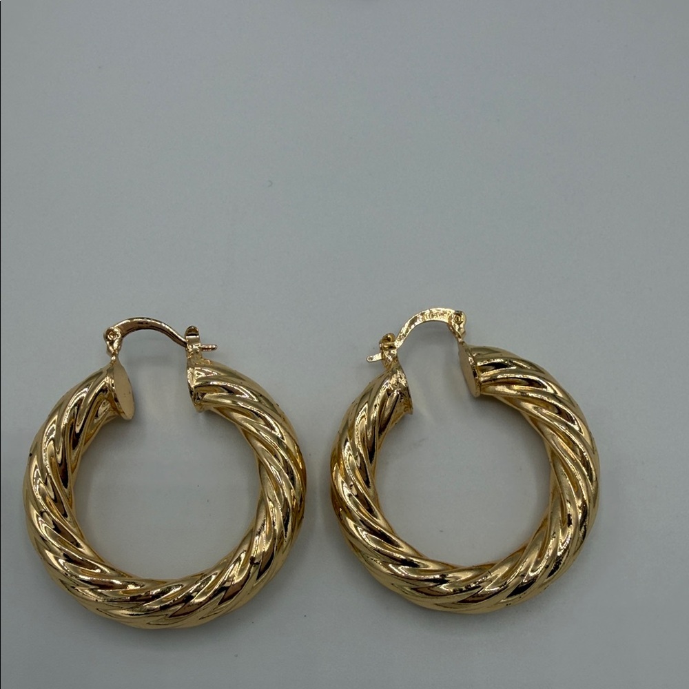 Elegant Gold Hoop Earrings